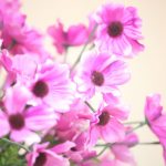 img_2089
