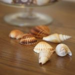 img_2353