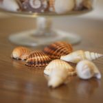 img_2354